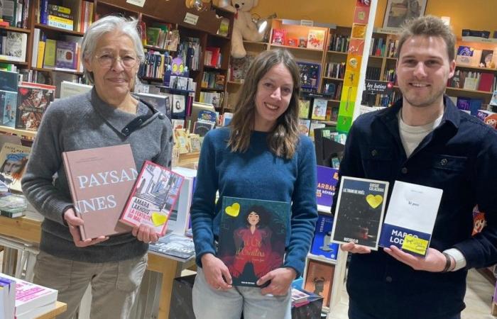 Les incontournables coups de coeur de fin d’année de cette librairie de Cavaillon