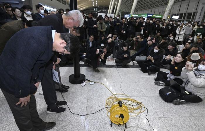 incertitude sur la cause du crash de l’avion de Jeju Air