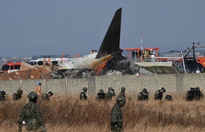 Comment les oiseaux peuvent-ils provoquer un accident d’avion ?