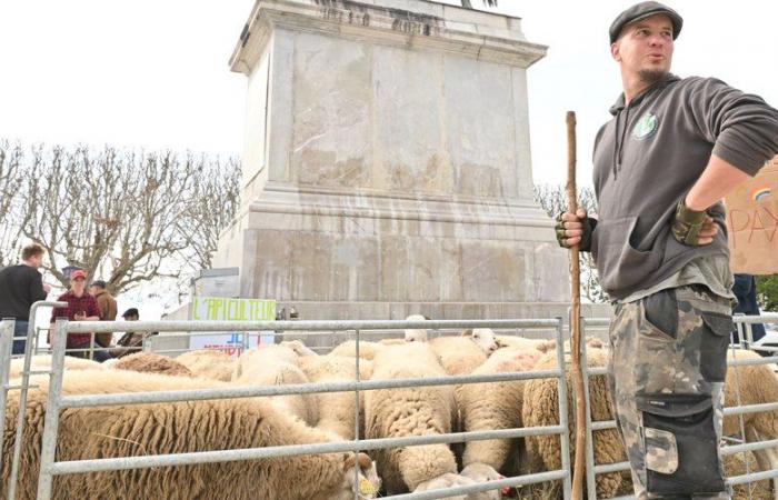 PHOTOS. Agriculteurs, abbé Pierre, incendie dans l’église Saint-François… Retour sur l’année insolite à Montpellier