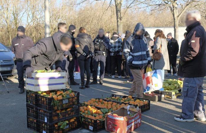 la police ferme le marché sauvage de la Paillade sous la pression des commerçants des Halles