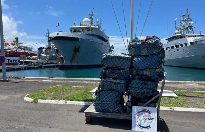 550 kg de cocaïne interceptés sur un bateau de pêche à 1300 km de Tahiti