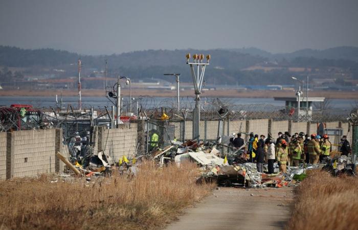 Corée du Sud | Au moins 96 morts dans le crash d’un avion transportant 181 personnes