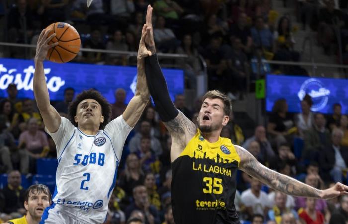 Nolan Traoré, Jérôme Robinson et Enzo Goudou-Sinha, trois joueurs de la SQBB au All Star Game LNB 2024