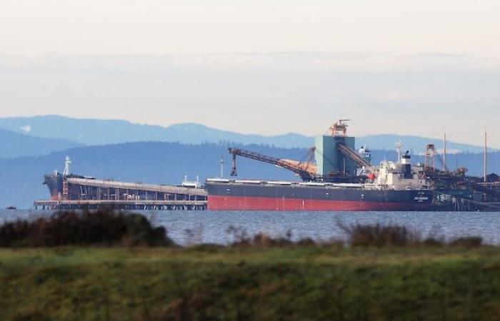 Un incendie a été éteint au terminal charbonnier du port de Delta, en Colombie-Britannique