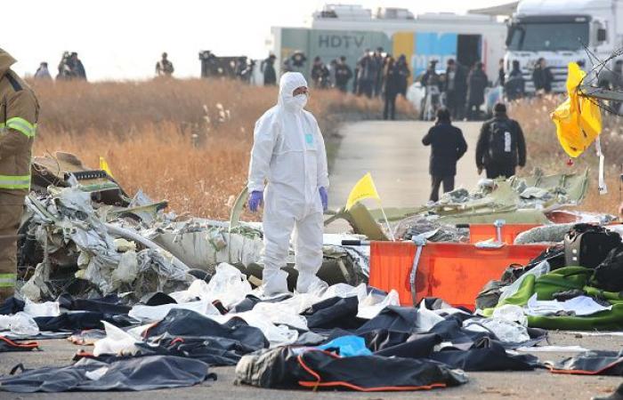 Crash d’avion en Corée du Sud : ce que l’on sait de ce terrible accident