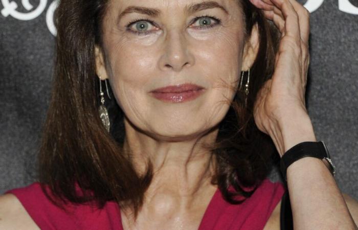 Le mannequin Dayle Haddon décède d’une intoxication présumée au monoxyde de carbone