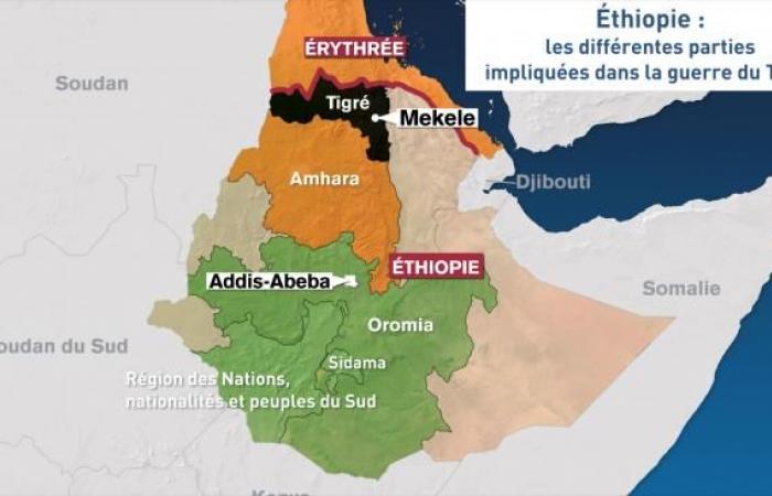 Trois journalistes éthiopiens kidnappés puis relâchés dans la région du Tigré