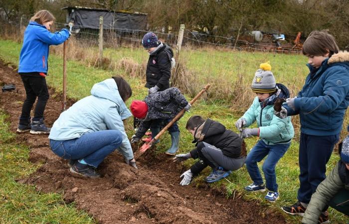 Sensibilis’haie s’implante à Saint-Loup-sur-Aujon