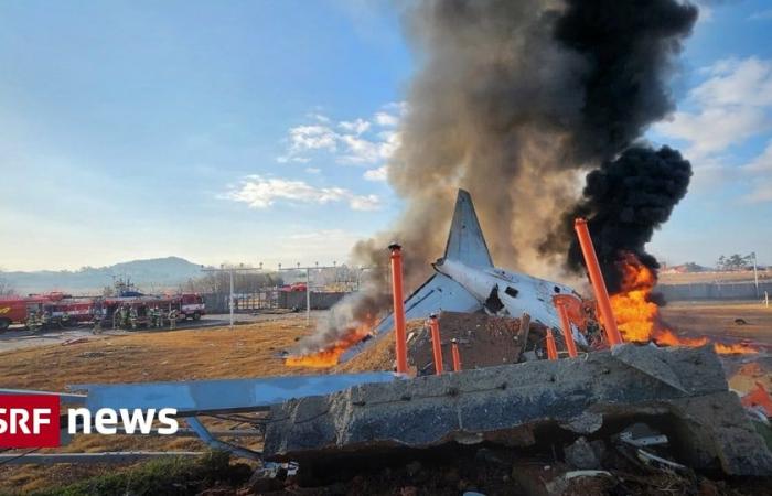 Apparemment, seulement deux survivants – un avion de ligne s’écrase à son atterrissage en Corée du Sud – Actualités