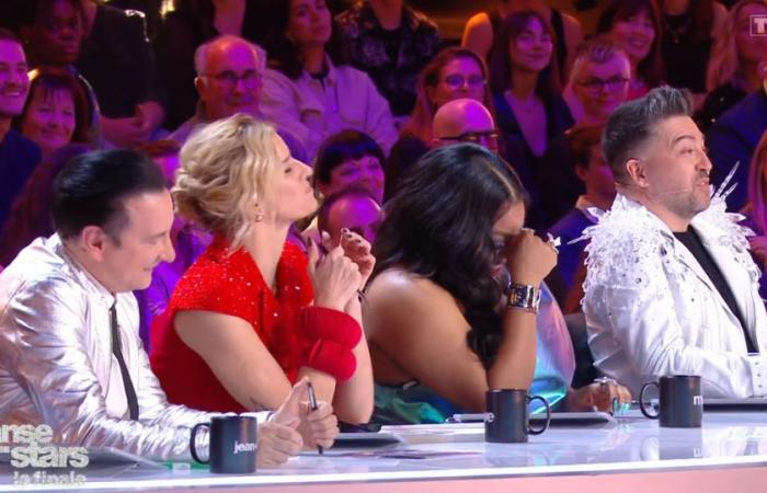 les membres du jury de la nouvelle saison 14 dévoilés