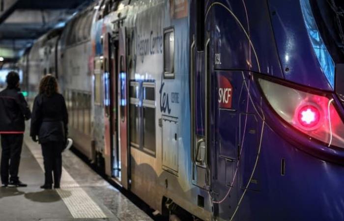 Conducteur de train de la SNCF violemment agressé à la gare de Lyon, suspect interpellé