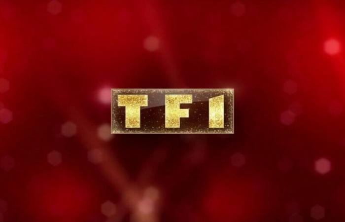 TF1 en deuil, la chaîne rend hommage à une personne qui a beaucoup compté dans son histoire