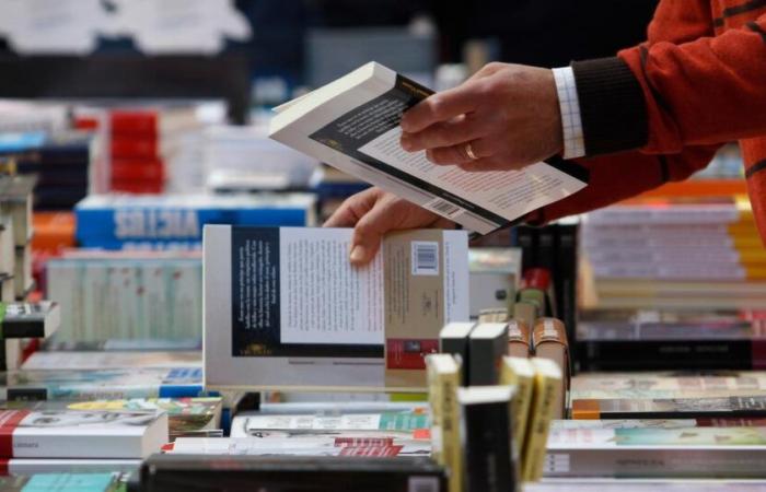 Soldes, prix, inertie politique… L’année mitigée dans le monde du livre