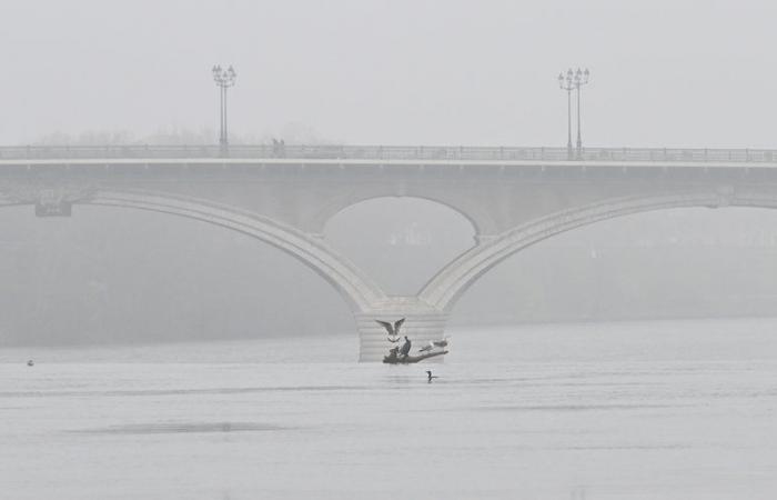 Quelles conditions existent à Toulouse pour qu’il soit submergé sous une nappe de brouillard ?