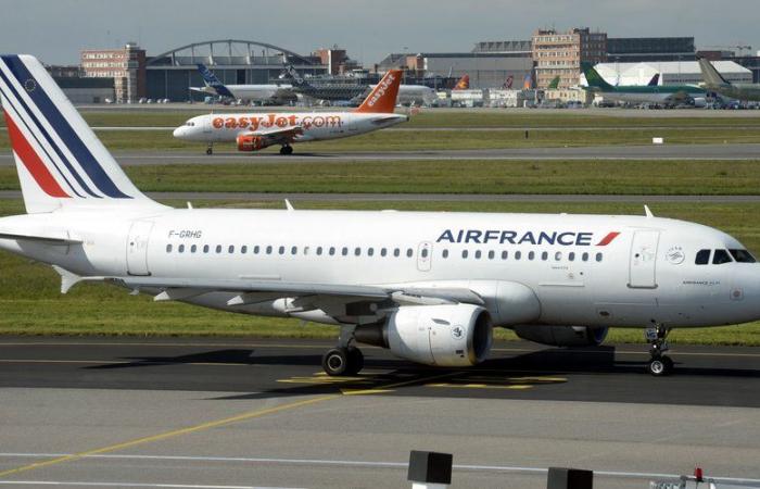 TÉMOIGNAGE. « Si j’avais pris l’avion depuis Miami, je l’aurais fait plus vite… » Pierrette, 87 ans, a rejoint Toulouse depuis Paris après 17 heures d’attente