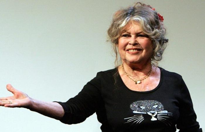 Brigitte Bardot fulmine et dénonce un massacre