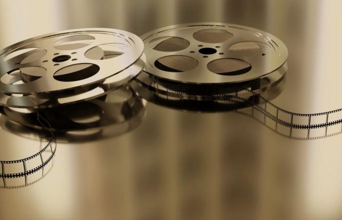 une fréquentation des salles dopée par les films français en 2024