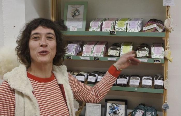 Dans un village de l’Eure, La Belle Verte fabrique et distribue des cosmétiques et produits ménagers bio