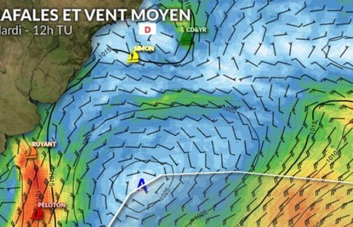 cap sur les alizés pour Charlie Dalin et Yoann Richomme