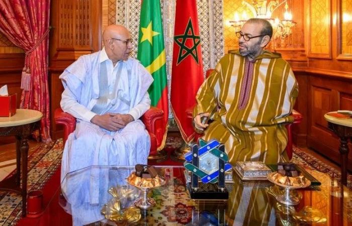 Le Maroc, la Mauritanie et les Émirats arabes unis lancent un projet côtier saharien