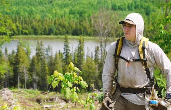 Nos vidéos les plus vues en 2024 au Bas-Saint-Laurent