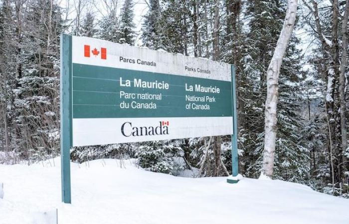 A “false alarm” at La Mauricie National Park