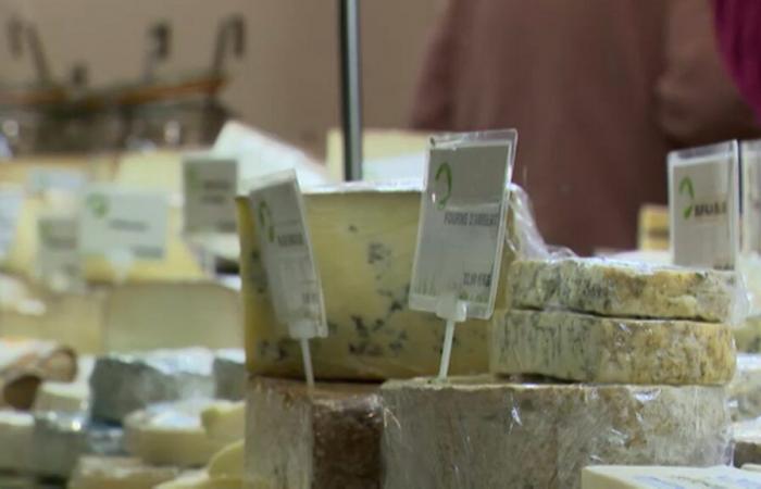 pourquoi le fromage reste l’un des produits phares des menus des fêtes de fin d’année