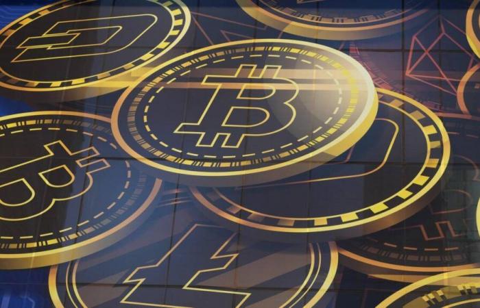 Une commission veut inclure le Bitcoin dans la réserve de la BNS