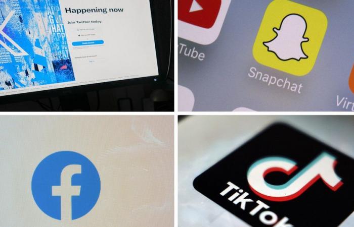 L’usage des réseaux sociaux en Afrique en 2024