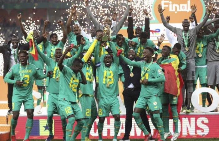 Vers un report du Championnat d’Afrique des nations (CHAN) 2024 ?