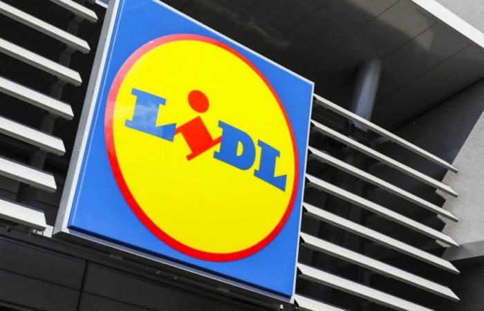 Lidl lance un rappel consommateur très urgent sur ce produit star des fêtes de fin d’année en France, il concerne les huîtres