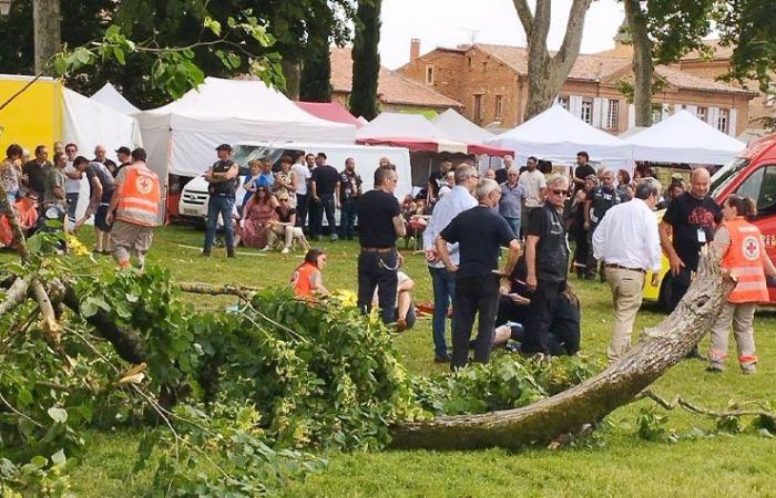 les faits divers qui ont marqué le Tarn