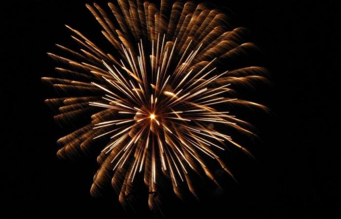 cinq personnes sont mortes en Allemagne après avoir allumé de puissants feux d’artifice