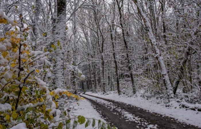 La neige pourrait revenir ce jeudi au Luxembourg