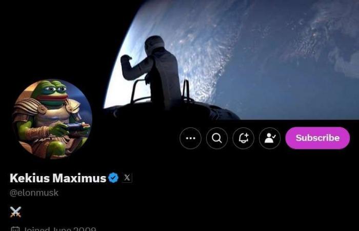 Elon Musk augmente le prix du PEPE après avoir mis une grenouille sur sa photo de profil sur le réseau social