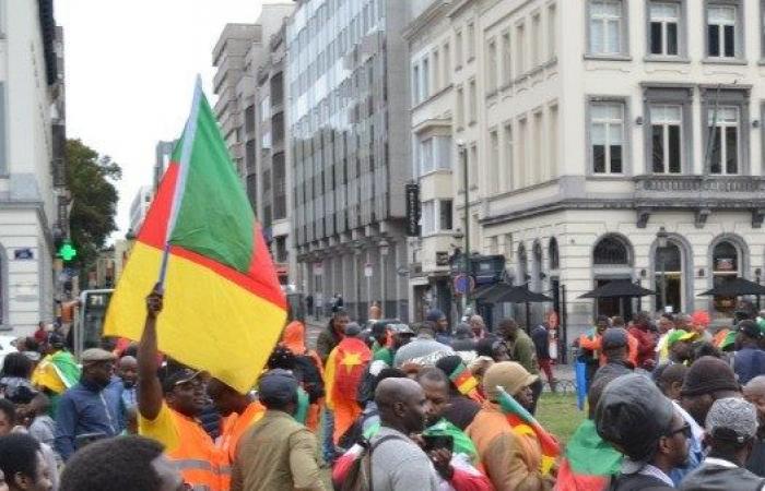 BELGIQUE :: Vœux de bonne année des associations combattantes de la diaspora camerounaise en Belgique :: BELGIQUE News