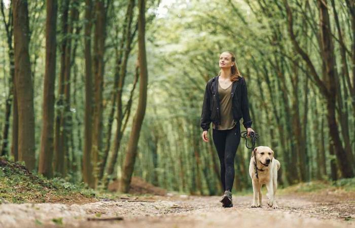 Les scientifiques ont demandé aux gens de faire une chose différemment en se promenant. Les résultats sont fascinants