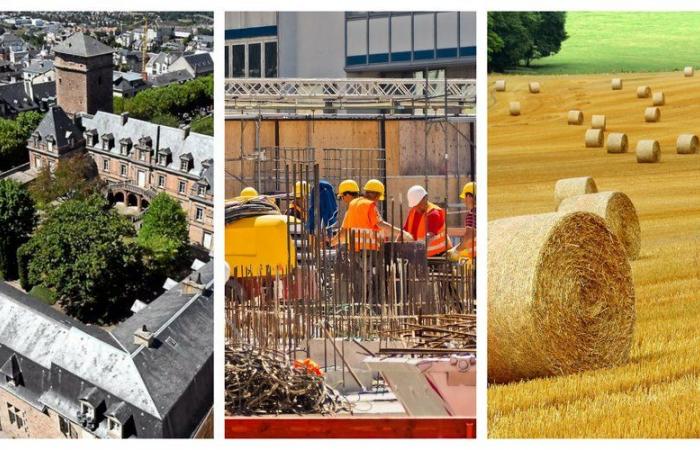 palais épiscopal de Rodez, élections à la chambre de l’agriculture, de la gastronomie, des stations de ski…