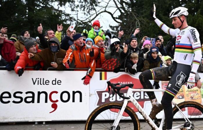 Grand Prix Sven Nys – Mathieu van der Poel, star des labours et invaincu cet hiver, une recette qui marche