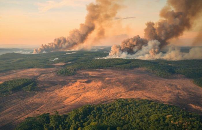 L’Amazonie brésilienne frappée par des incendies records en 2024