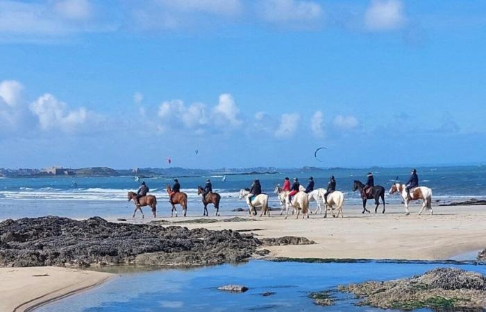 un cheval au galop s’effondre sur la plage, le cavalier blessé dans la chute