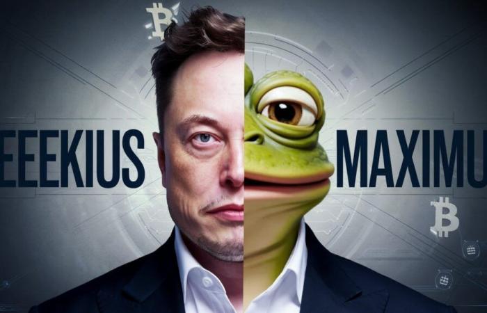 Elon Musk déçoit en devenant « Kekius Maximus » sur X