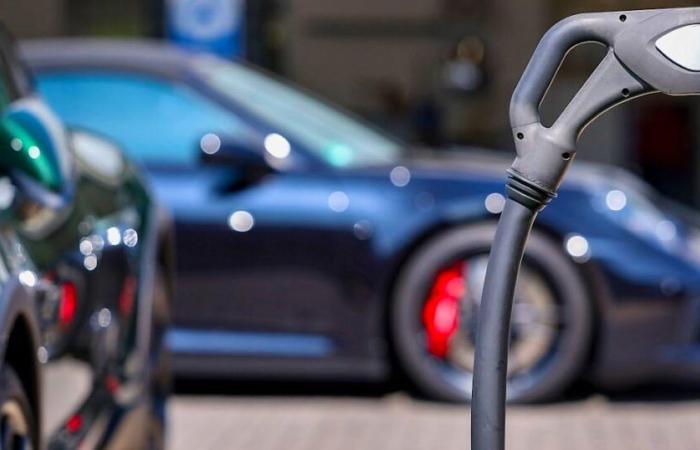 Croissance en berne pour les voitures électriques en Suisse