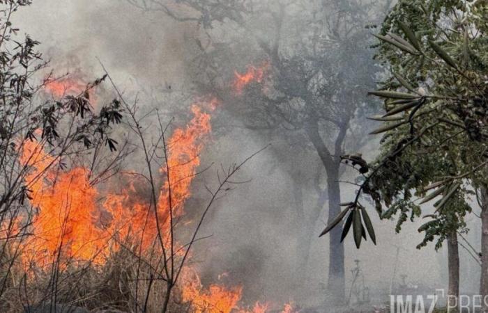 Le Département appelle à la vigilance face aux nombreux incendies