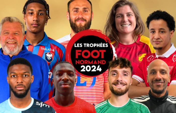 Découvrez vos coups de coeur pour 2024