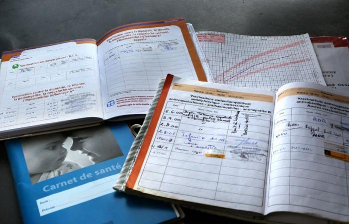 Hausse des retraites, vaccination obligatoire, carnet de santé, RSA… Ce qui change au 1er janvier 2025