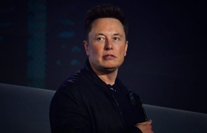 Elon Musk déconcerte en devenant « Kekius Maximus »