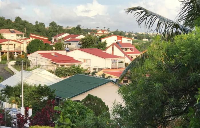 Logement, retraite, titres restaurant, tabac… Ce qui change à partir du 1er janvier 2025 en Martinique