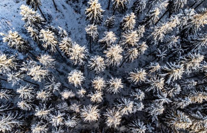 la première neige de l’année est attendue